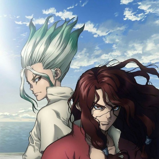 Dr. Stone