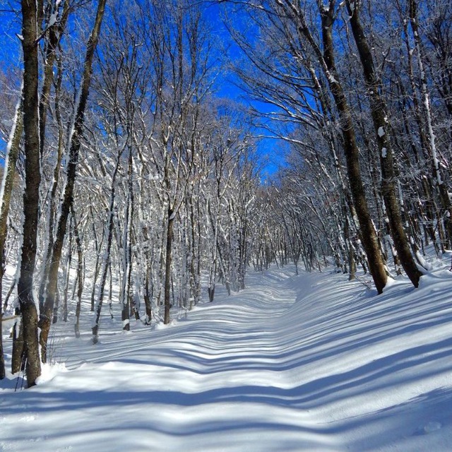 Красоты Крыма