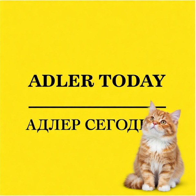 Чат Адлер Сегодня