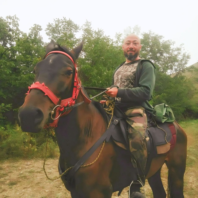 Светогор и товарищи