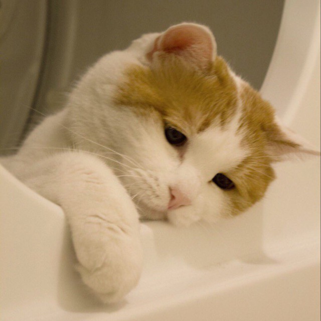 Дима