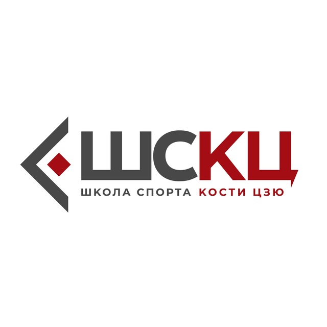 Школа Спорта Кости Цзю