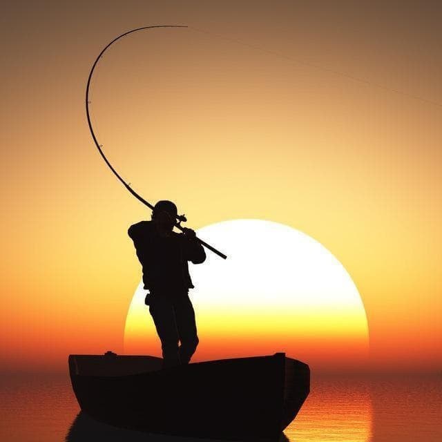 Обратная связь с Рыбарем