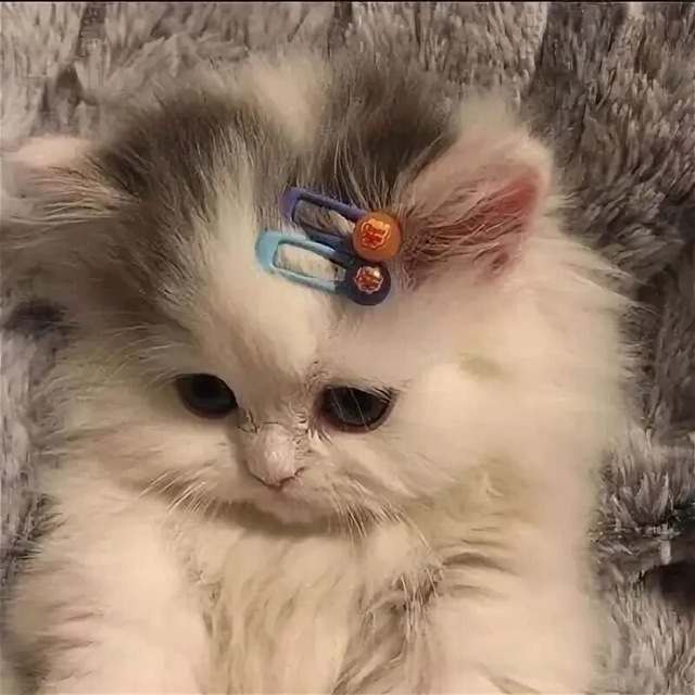 Яна
