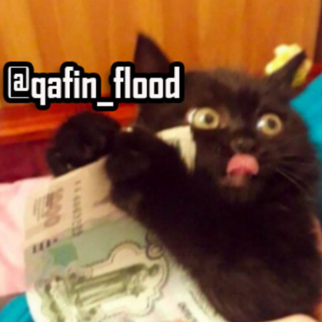 QaFin - flood