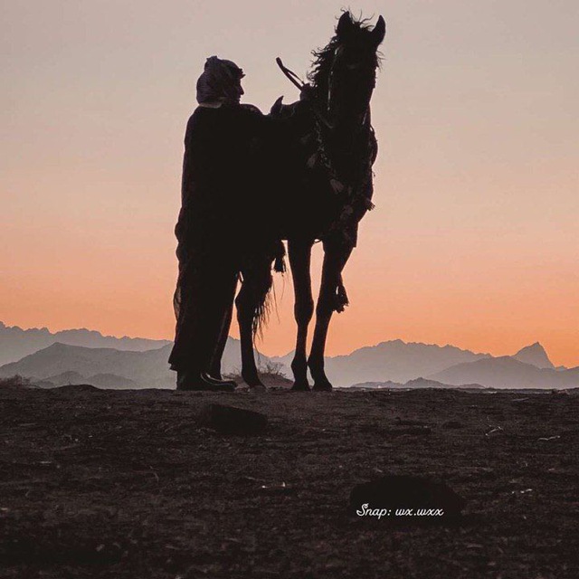 📮تـواصـل.....أَعْرَابِيّ